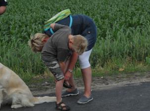 Woensdag 17 juni 2015