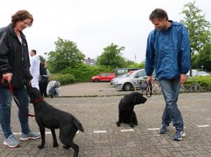 overwegend droog - dinsdag 21 juni 2016