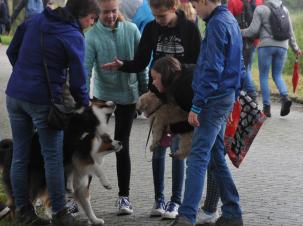 overwegend droog - dinsdag 21 juni 2016