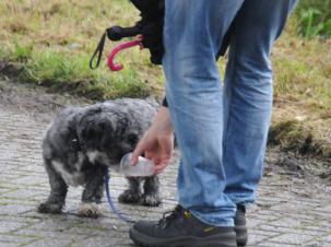 overwegend droog - dinsdag 21 juni 2016