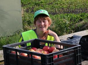 eindelijk de zon - woensdag 22 juni 2016